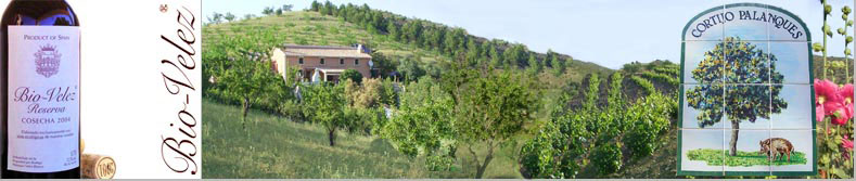 bodega palanque