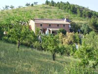 Weingut Palanque